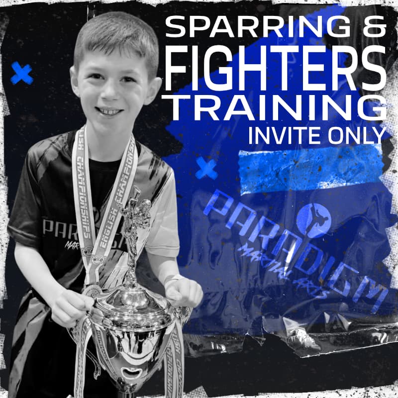 Sparring & Fighter Training