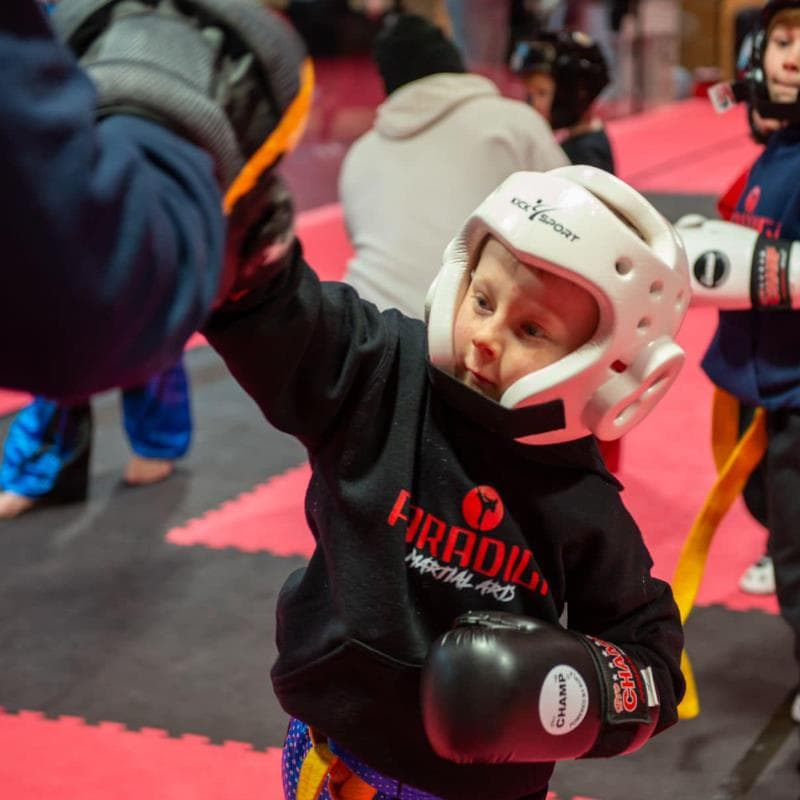Paradigm Martial Arts Academy
